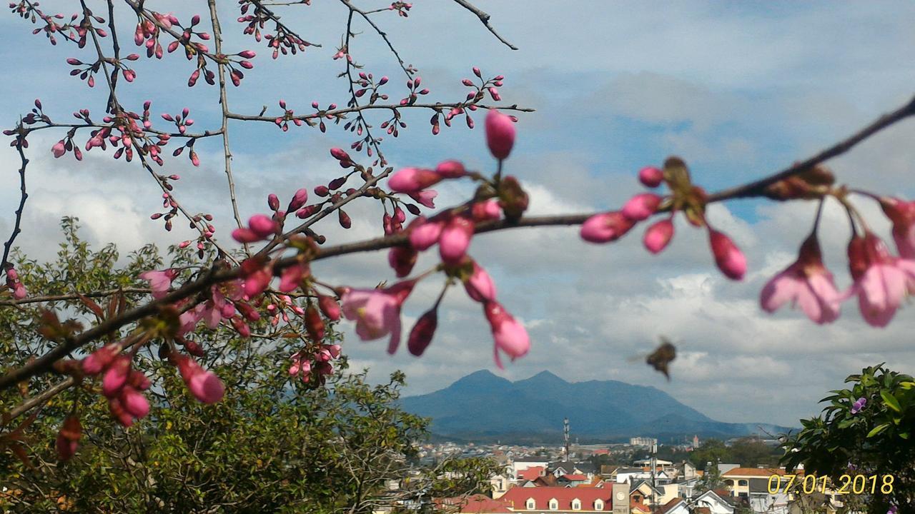 Homstay An Nhien Da Lat Kültér fotó